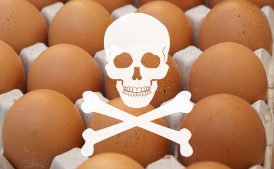 Защо не трябва да се паникьосваме за фипронила в някои партиди яйца