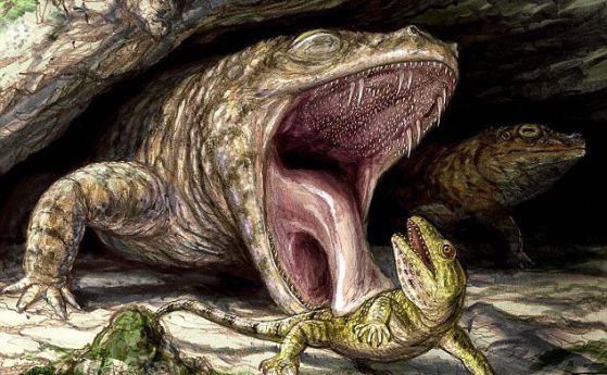 Древните жаби са имали уста, пълна с остри зъби и хиляди малки кукички