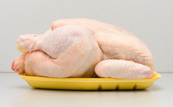 Голямото пиле: Хроника на антибиотичния кошмар в птицевъдството (видео)