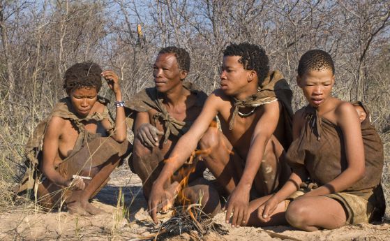 Предците на бушмените са се отделили от Хомо сапиенс преди 300 000 години