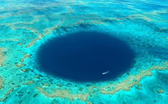Невероятно: В синята дупка в Големия бариерен риф има здрави коралови колонии