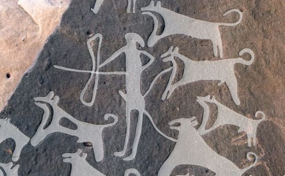 Първите рисунки на кучета с каишки са намерени в Арабската пустиня (снимки, видео)