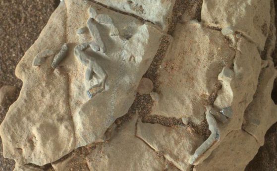 Марсоходът Curiosity откри подобни на вкаменелости структури на Марс