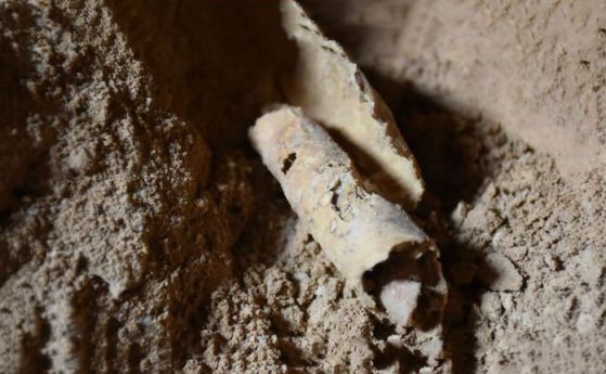 Дешифрираният свитък от Мъртво море съдържа календар