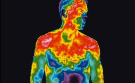 На някои места на човешкото тяло нормалната температура достига 50°С 