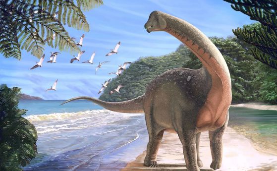 Откриха останките на огромен динозавър в Египет, роднина на европейските титанозаври