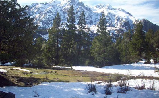 Чили създава пет нови национални парка с близо 50 000 кв.км