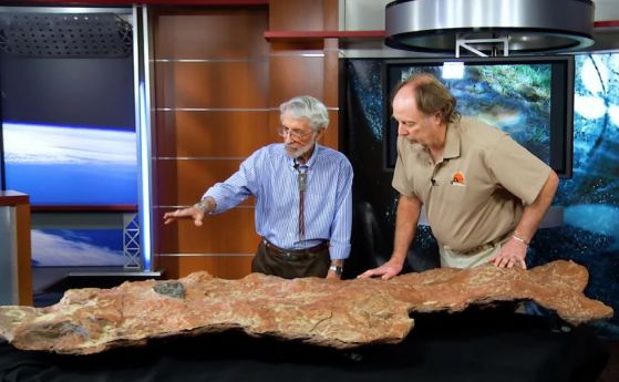 В двора на НАСА откриха следи от динозаври и древни бозайници (видео)