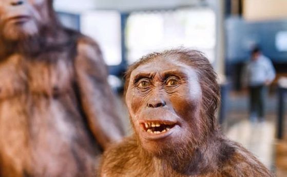 Повече от 1,3 млн години преди Хомо Сапиенс са проговорили предците му