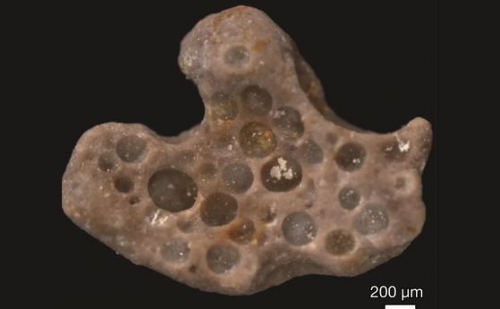 Откриха дъха на живи организми на 1,6 милиарда години, затворен в камък
