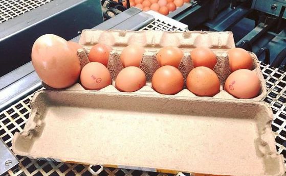 Фермер откри огромно кокоше яйце с нещо много странно вътре (видео)