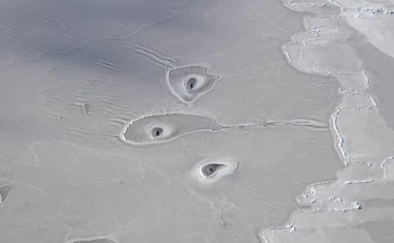 Учените откриха мистериозни дупки в арктическия лед