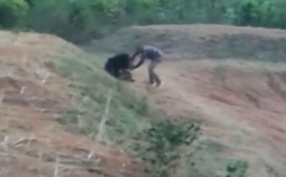 Човек се опита да си направи селфи с мечка и загина (видео)