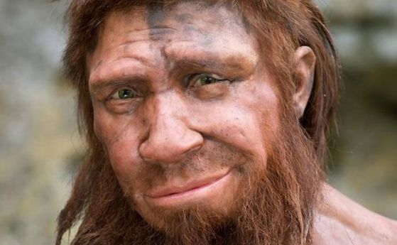 Учените планират да отгледат мозък на неандерталец