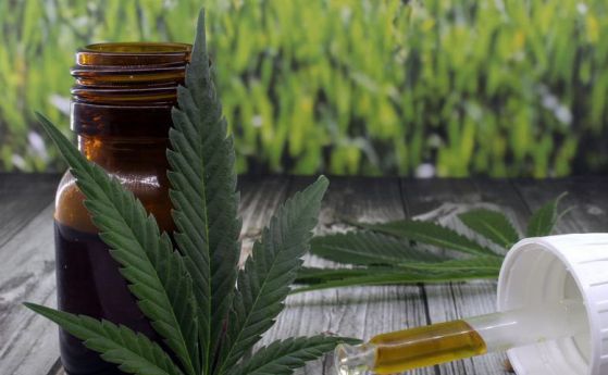 Американските власти одобриха първото лекарство от марихуана