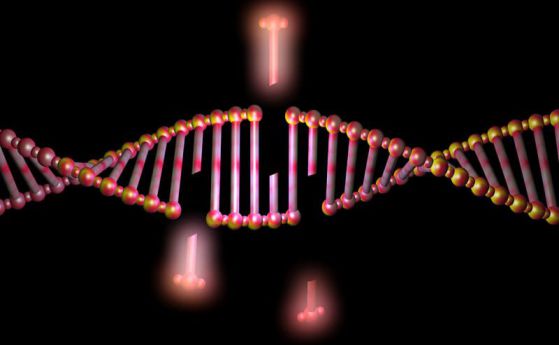 Редактирането на гени с CRISPR не е толкова точно и безопасно