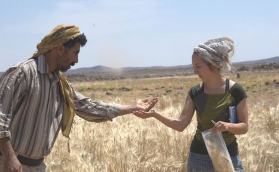 Най-старият хляб, открит в Йордания, предшества земеделието с 4000 години