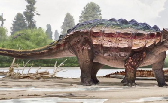 Новооткритият американски динозавър се оказва азиатски имигрант