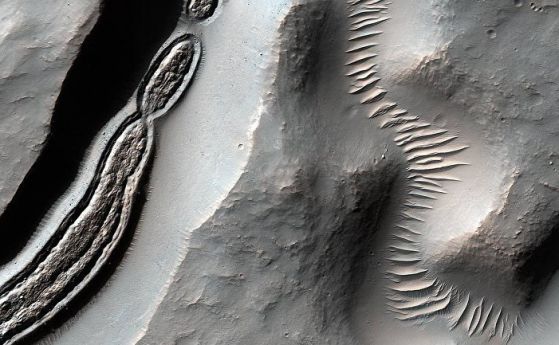 Как може да изглежда животът на Марс?