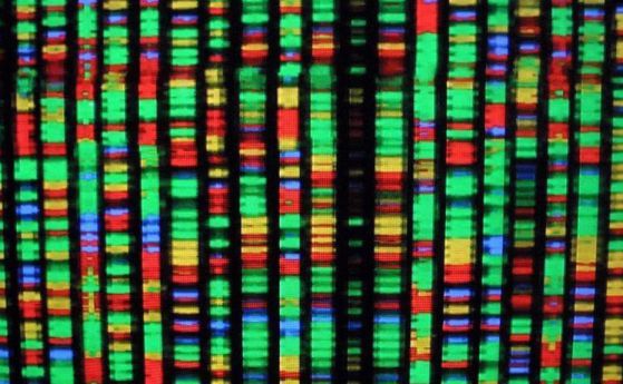 Омнигенетичният модел - когато всеки ген влияе на всичко