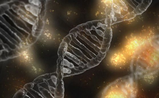 Човешкият геном може да съдържа до 20% по-малко кодиращи гени