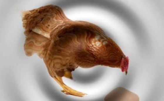 Квантови странности в парадокса "кокошката или яйцето"