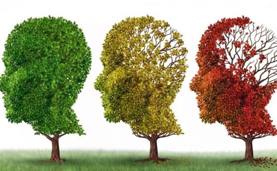 21 септември - Световен ден за борба с болестта на Алцхаймер