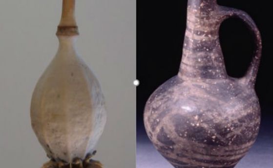 Откриха най-древните доказателства за използването на опиум