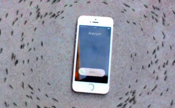 Мравешкият "кръг на смърта" около един iPhone (видео)