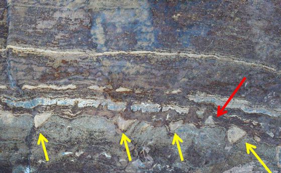 Най-старите фосили на Земята се оказаха обикновени скали