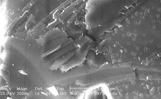 Марсианските метеорити: Различен начин за "изграждане на тухличките на живота"