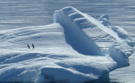 Учените намалиха 10 пъти прогнозата за повишаване на морското ниво заради топенето на Антарктика