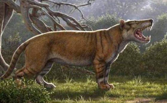 В Кения е открит древен хищник, сякаш излязъл от фентъзи роман