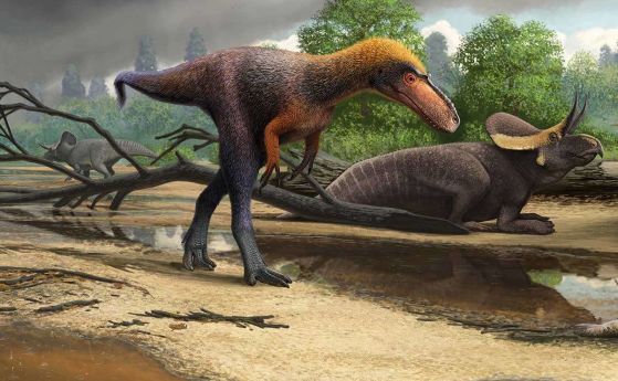 Tиранозавър рекс е бил малък динозавър преди да стане гигант