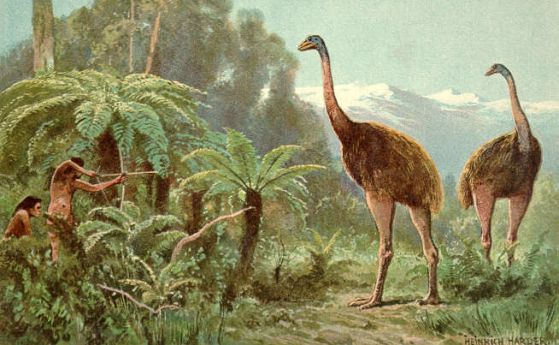 Отпечатъци на 12 млн години от гигантската птица моа са открити в Нова Зеландия
