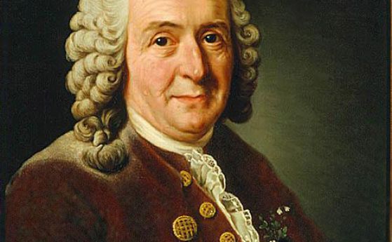 На 23 май 1707 г. е роден Карл Линей, човекът, заради когото всички биолози учат латински