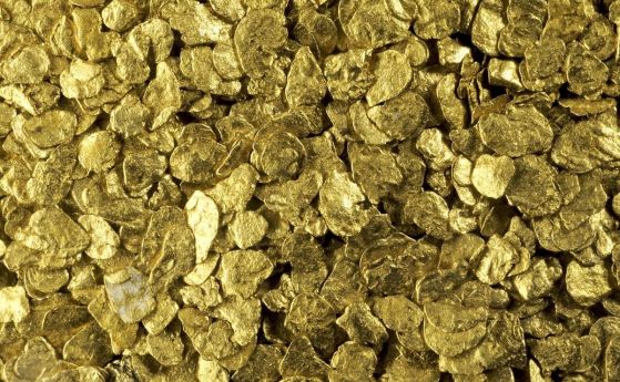 В Австралия откриха гъбички, които отделят злато
