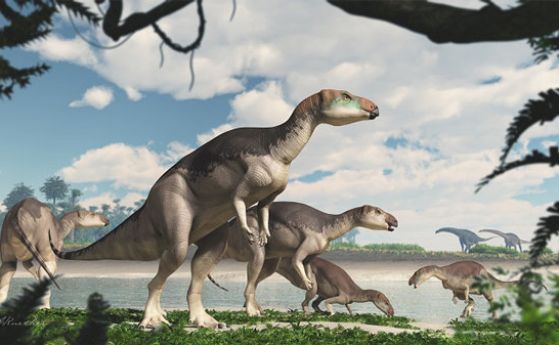 Кости, превърнати в опал, се оказаха на нов вид динозавър