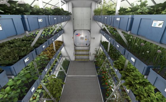 НАСА стартира състезание за космическо градинарство