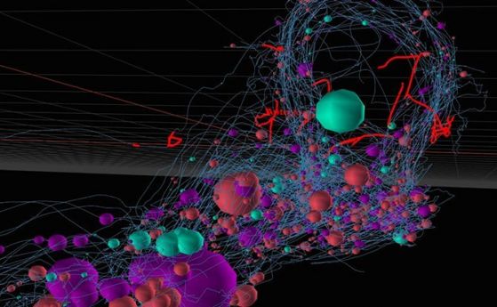 Учени създадоха първото пълно описание на структурата на нервна система (видео)