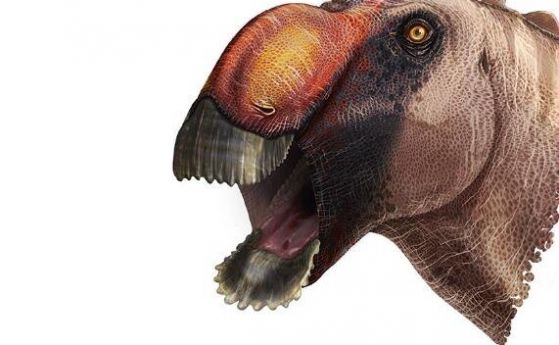 Идентифициран е нов вид динозавър с особена човка