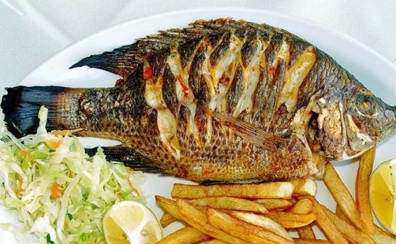 "Тилапията предизвиква рак" и други лъжливи твърдения за тази риба