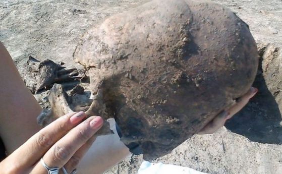 Древни скелети с удължени деформирани черепи са открити в Хърватия (видео)