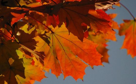5 неща, които трябва да знаете за първия ден на есента