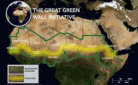 Великата зелена африканска стена: Проблемът с безразборното залесяване (видео)