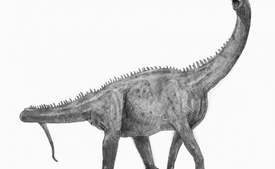 „Възход и падение на динозаврите” от Стийв Брусати: Една нова история за изгубения свят