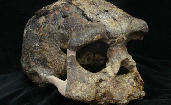 Homo erectus е достигнал Югоизточна Азия по-късно от предполаганото досега