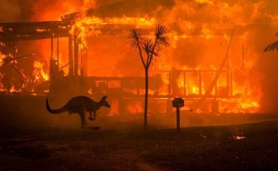 Безпристрастно за пожарите в Австралия