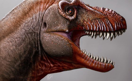 Братовчед на T. rex наречен "косач на смъртта" е най-древният тиранозавър, откриван в Канада