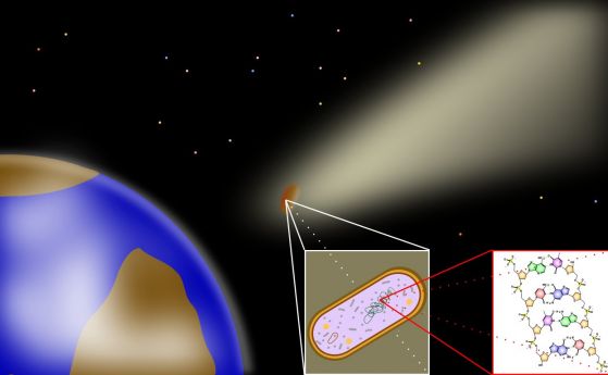 Учени се съмняват, че е открит извънземен протеин в метеорит